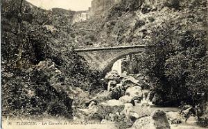 TLEMCEN 162- COLLECTION MONTANER